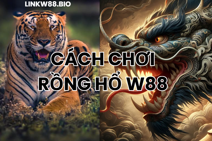 Cách chơi rồng hổ w88 siêu đơn giản